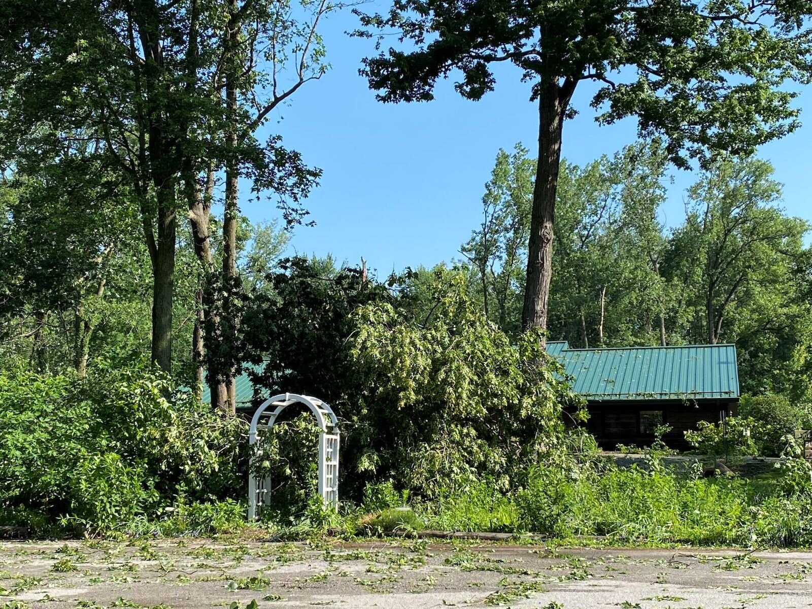 The butterfly garden after the June 2022 derecho.