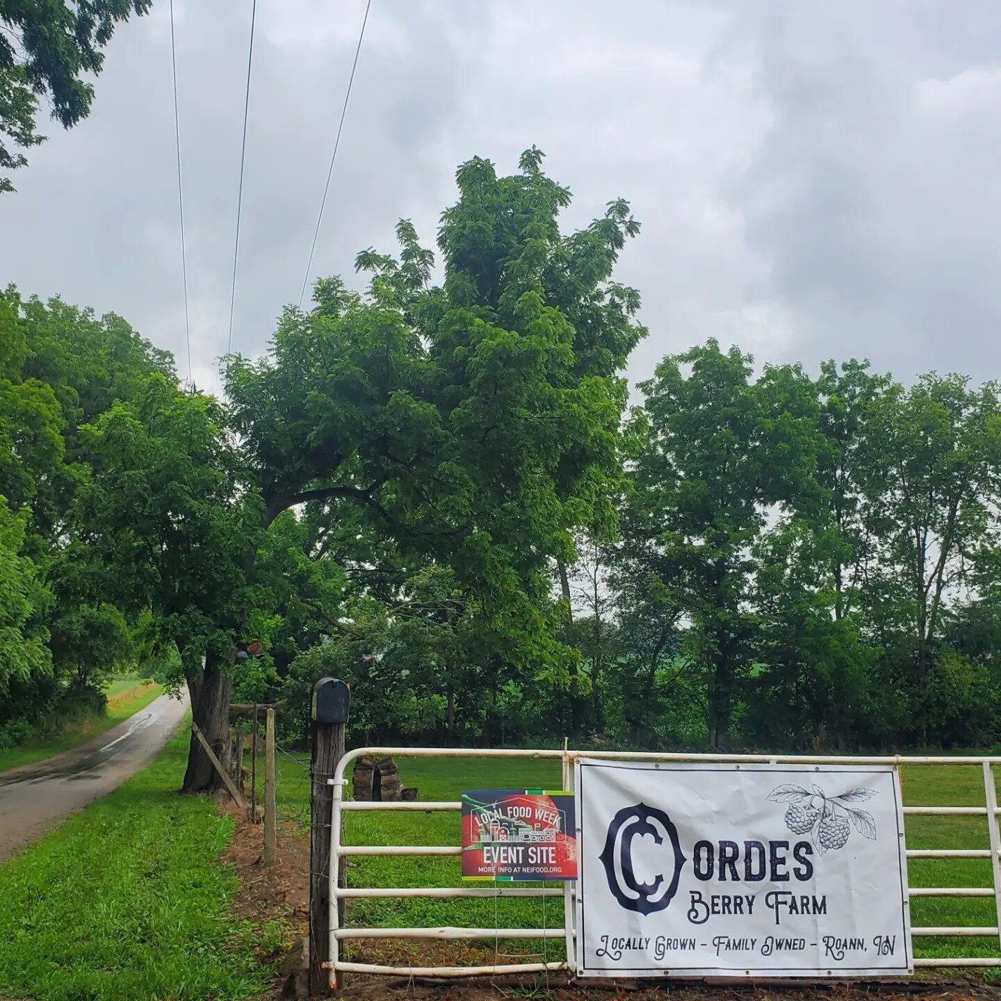 Cordes Berry Farm in Roann, Indiana.