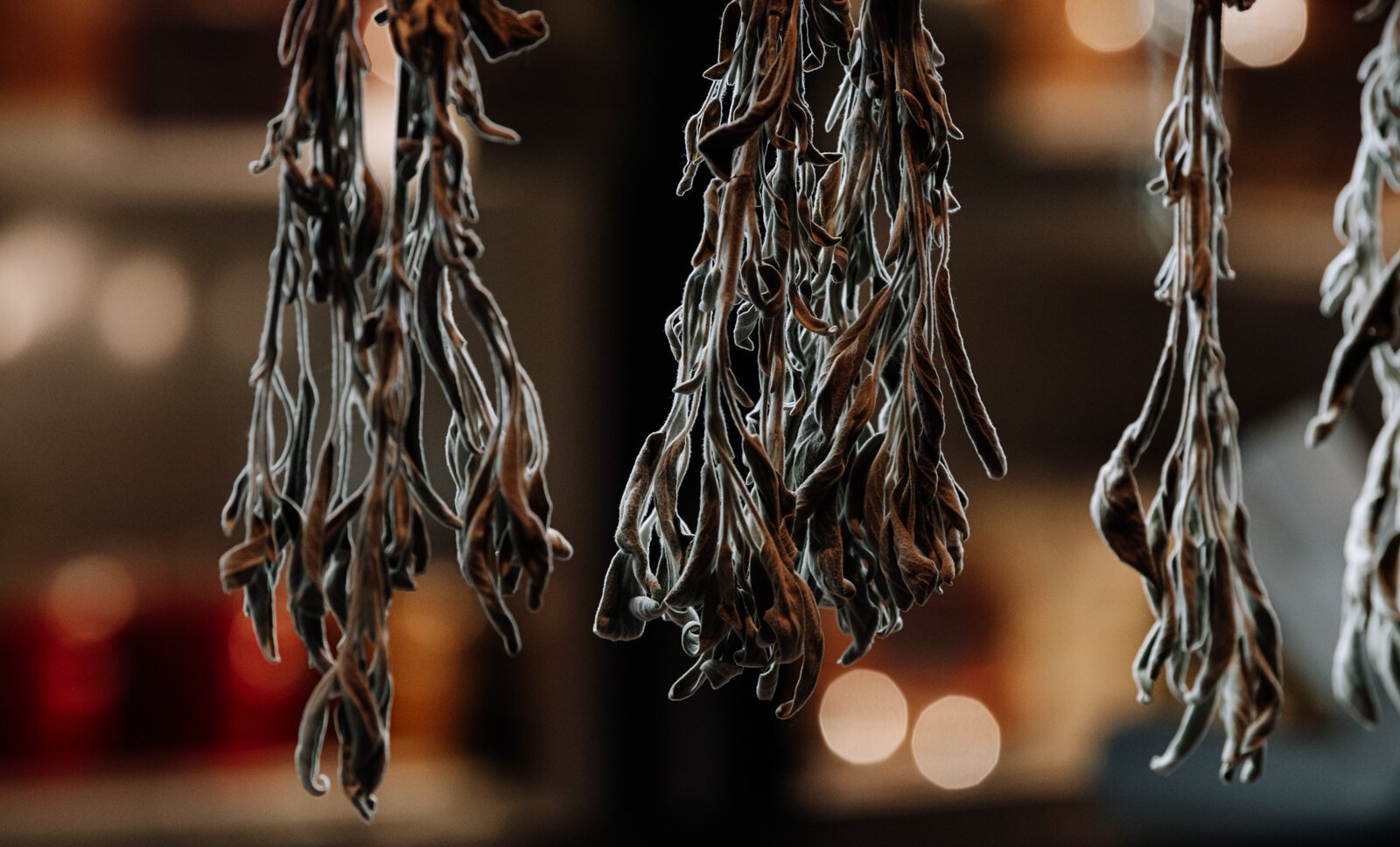 Dried sage at the Plowshares At The Market booth at Fort Wayne's Farmers Market on Dynamo Alley.