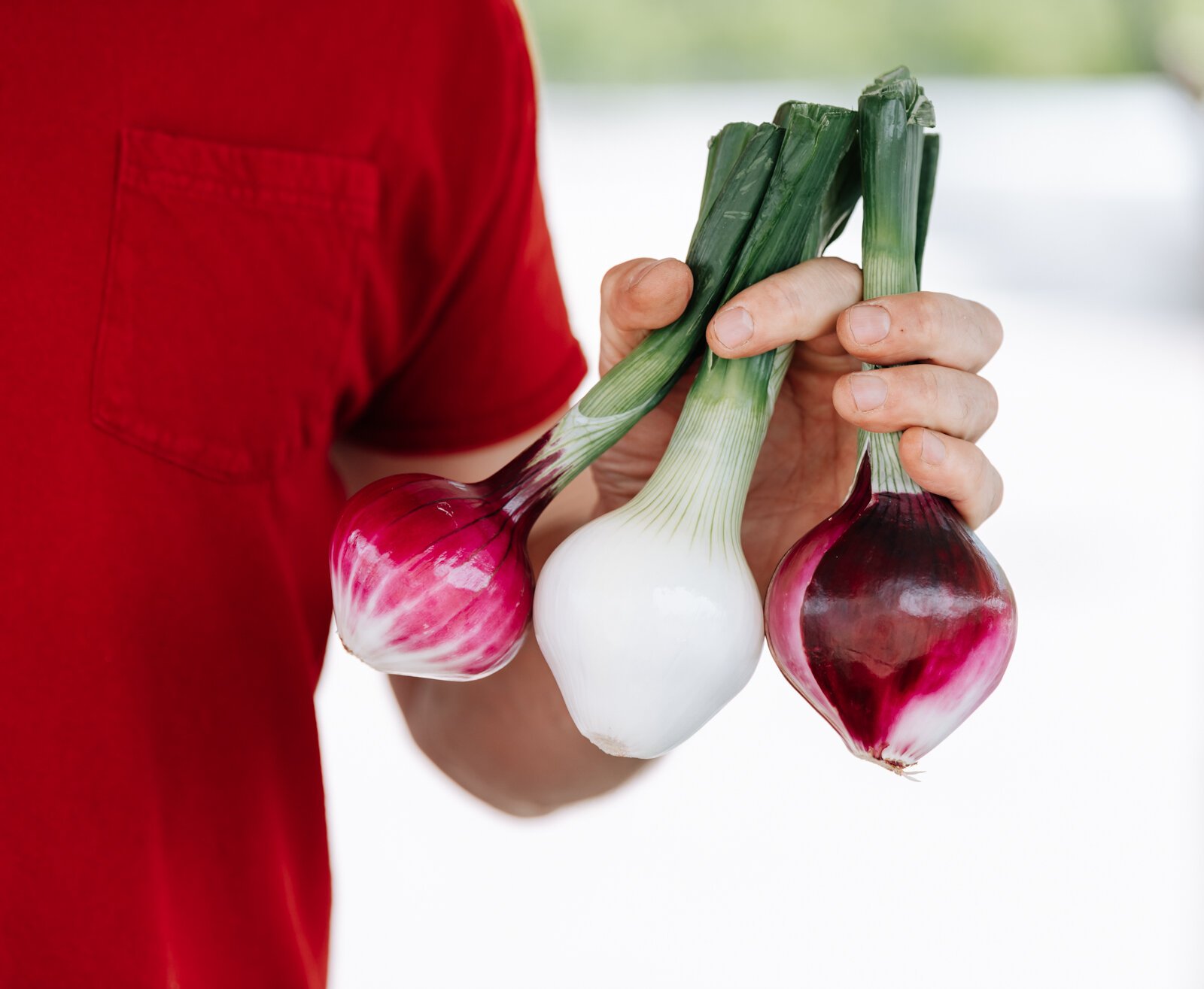 Onions from the Berry Hill Farm booth during the Fort Wayne's Farmers Market at Electric Works.