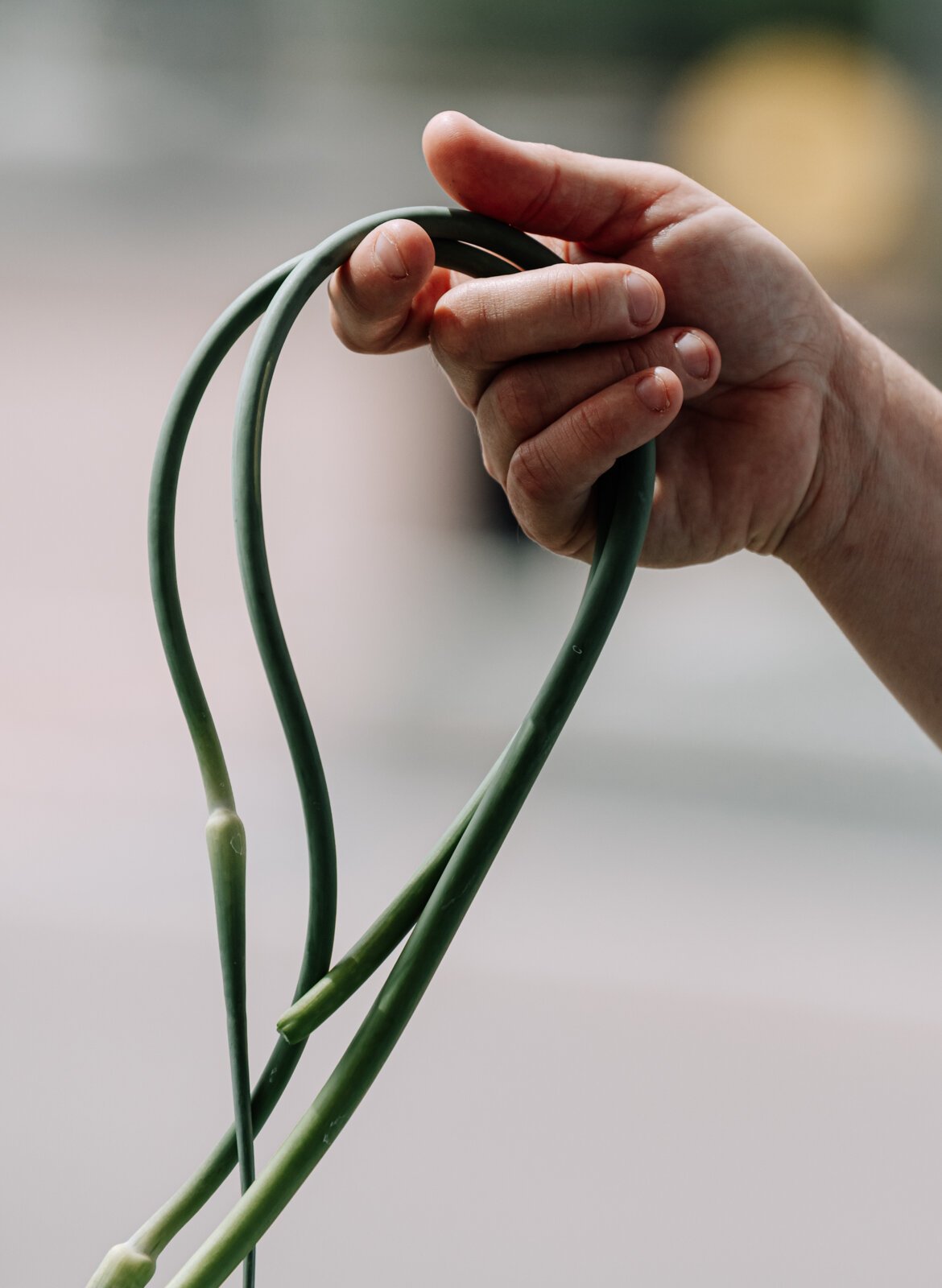 A customer picks up garlic scapes at the Berry Hill Farm booth.