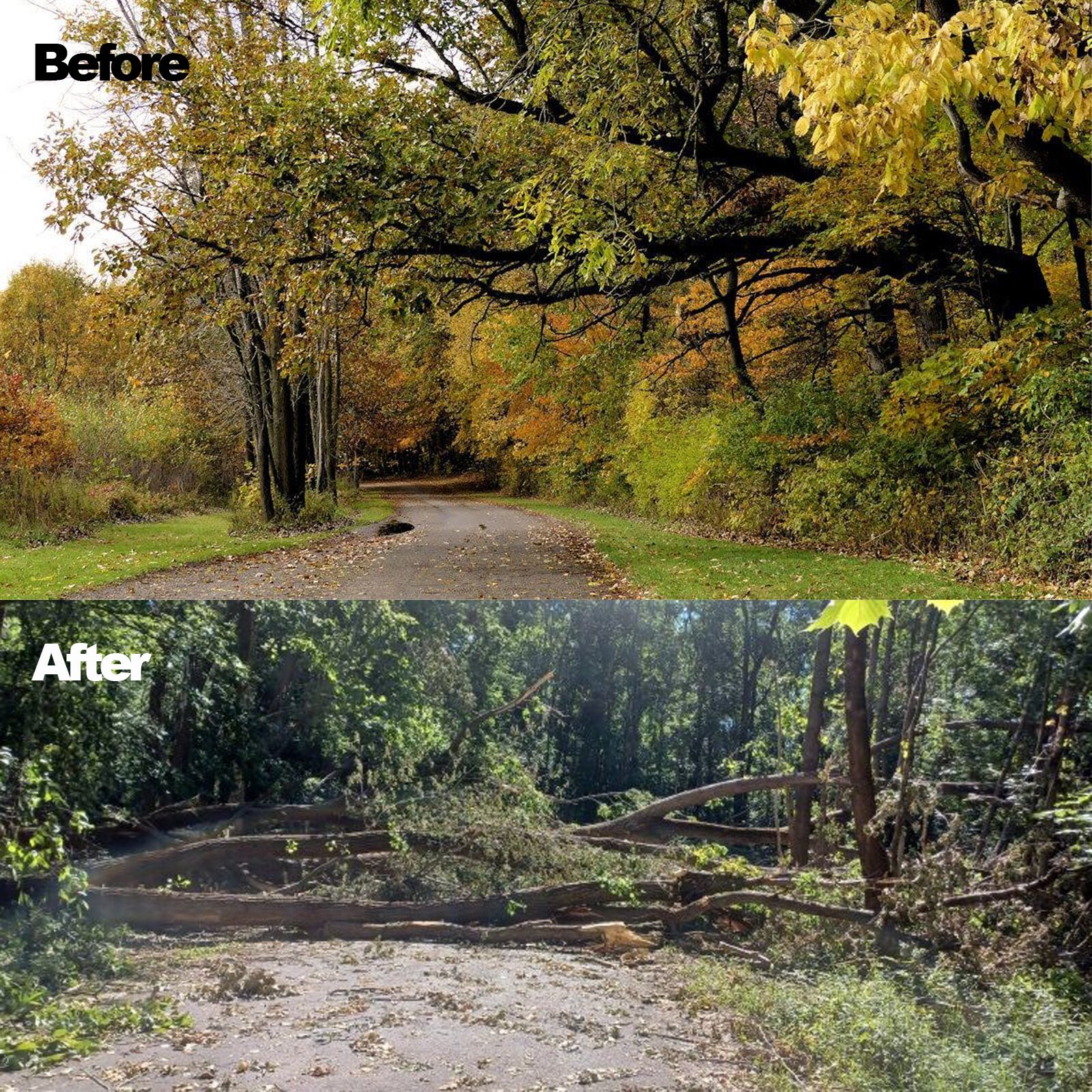 The road leading to the lake before and after the June 2022 derecho.