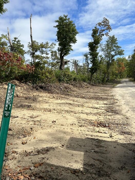 The road leading to the lake at Fox Island Park after clean up.