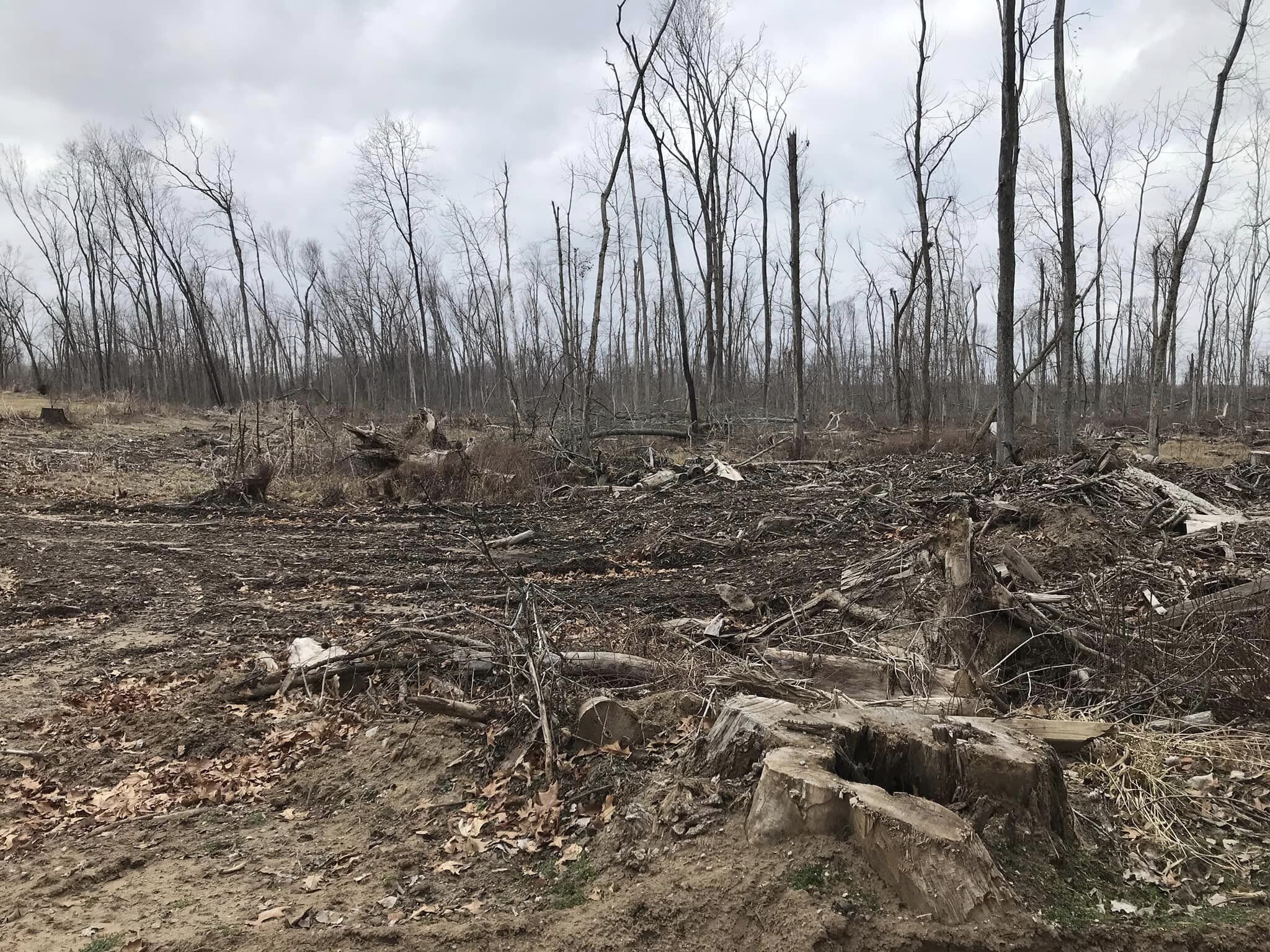 Park leadership estimates that around 3,000 trees were taken down by the derecho.