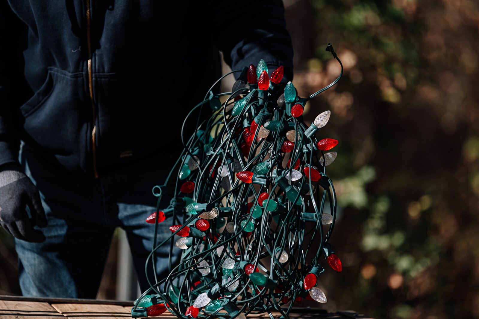 Field Team Supervisor Tom West untangles lights at Blue Jacket's Fantasy of Lights at Franke Park.