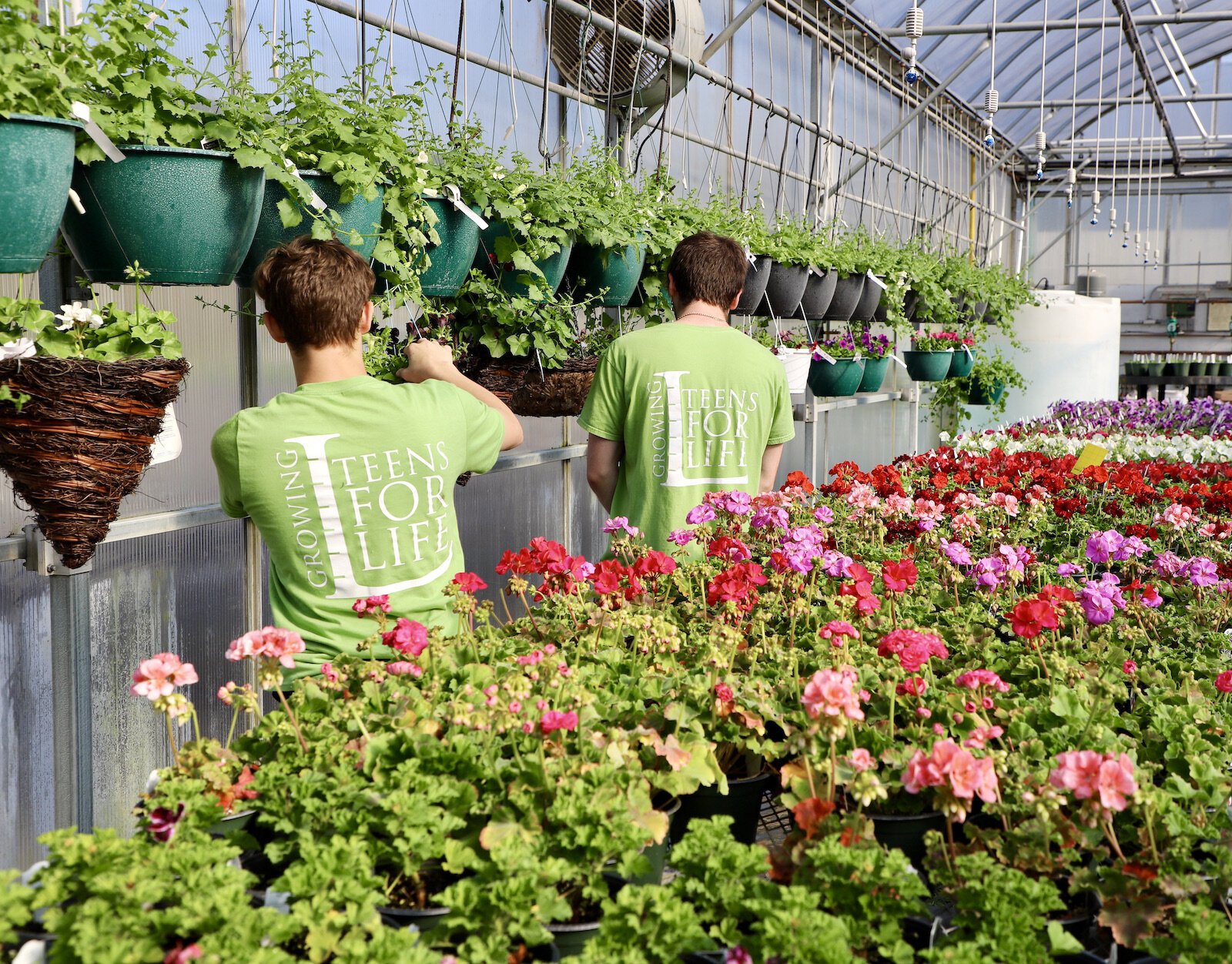 The plants used in the street boxes come from Josiah White’s 50 East Garden Center, which is partially maintained by students.